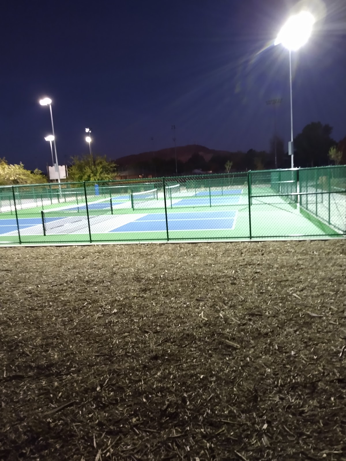 Bloomington Park Pickleball Courts - Photo 2