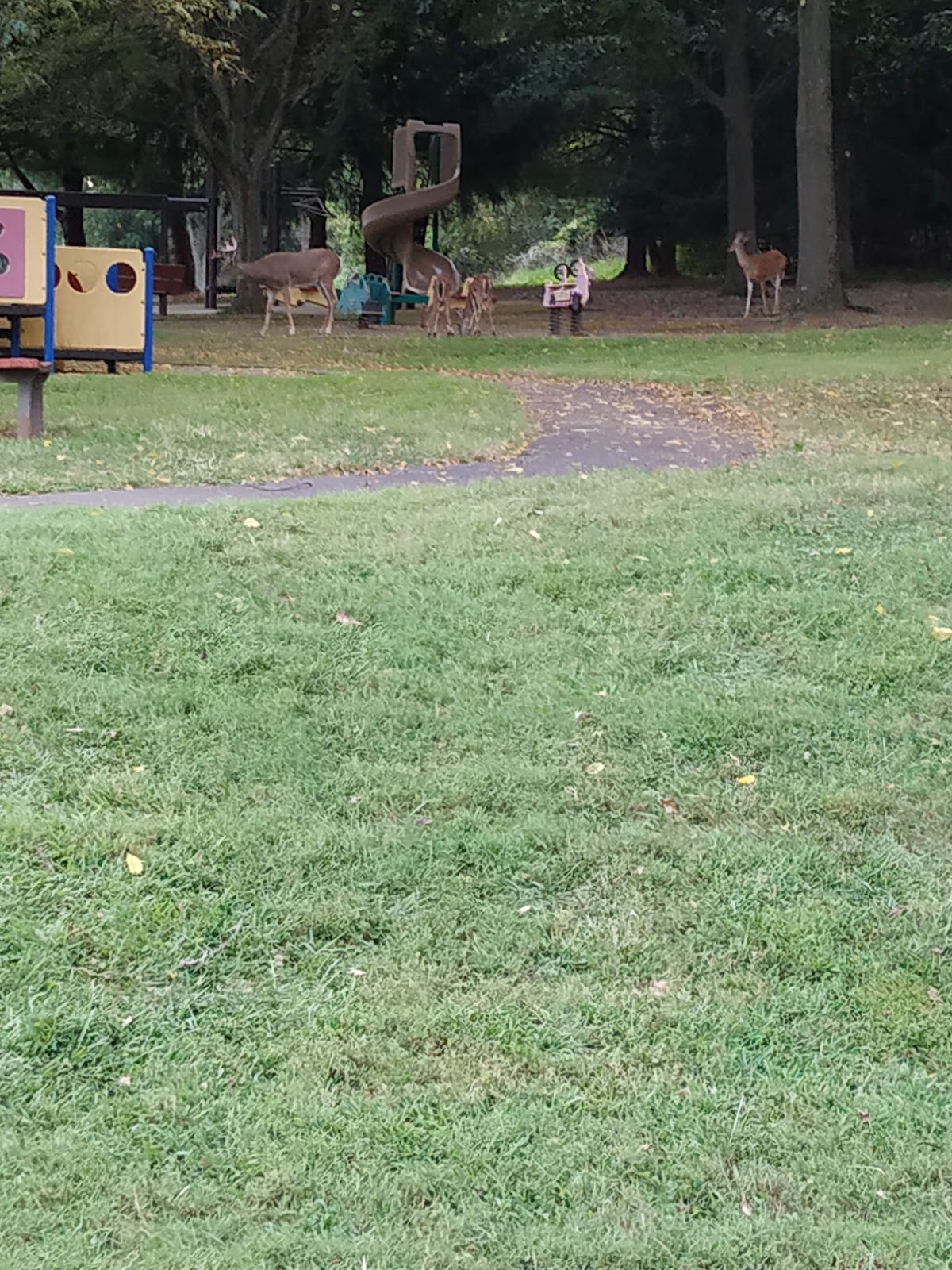 Bob White Park - Photo 2