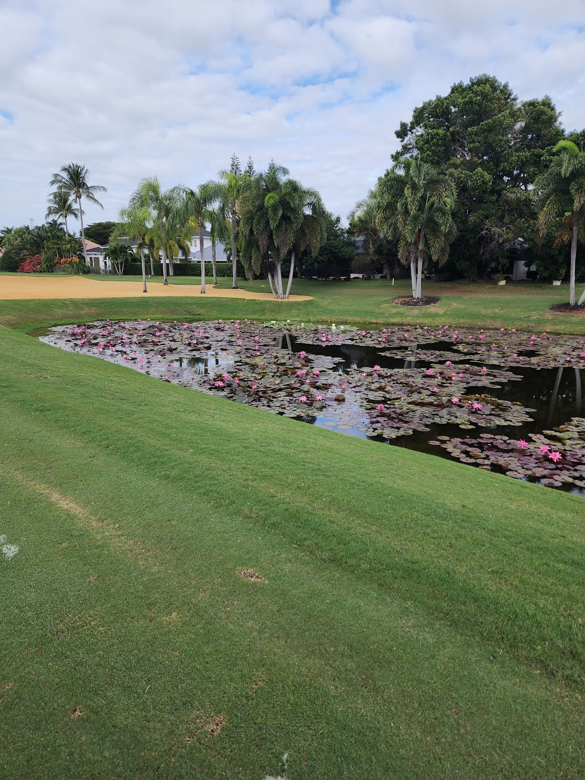 Boca Grove - Photo 1