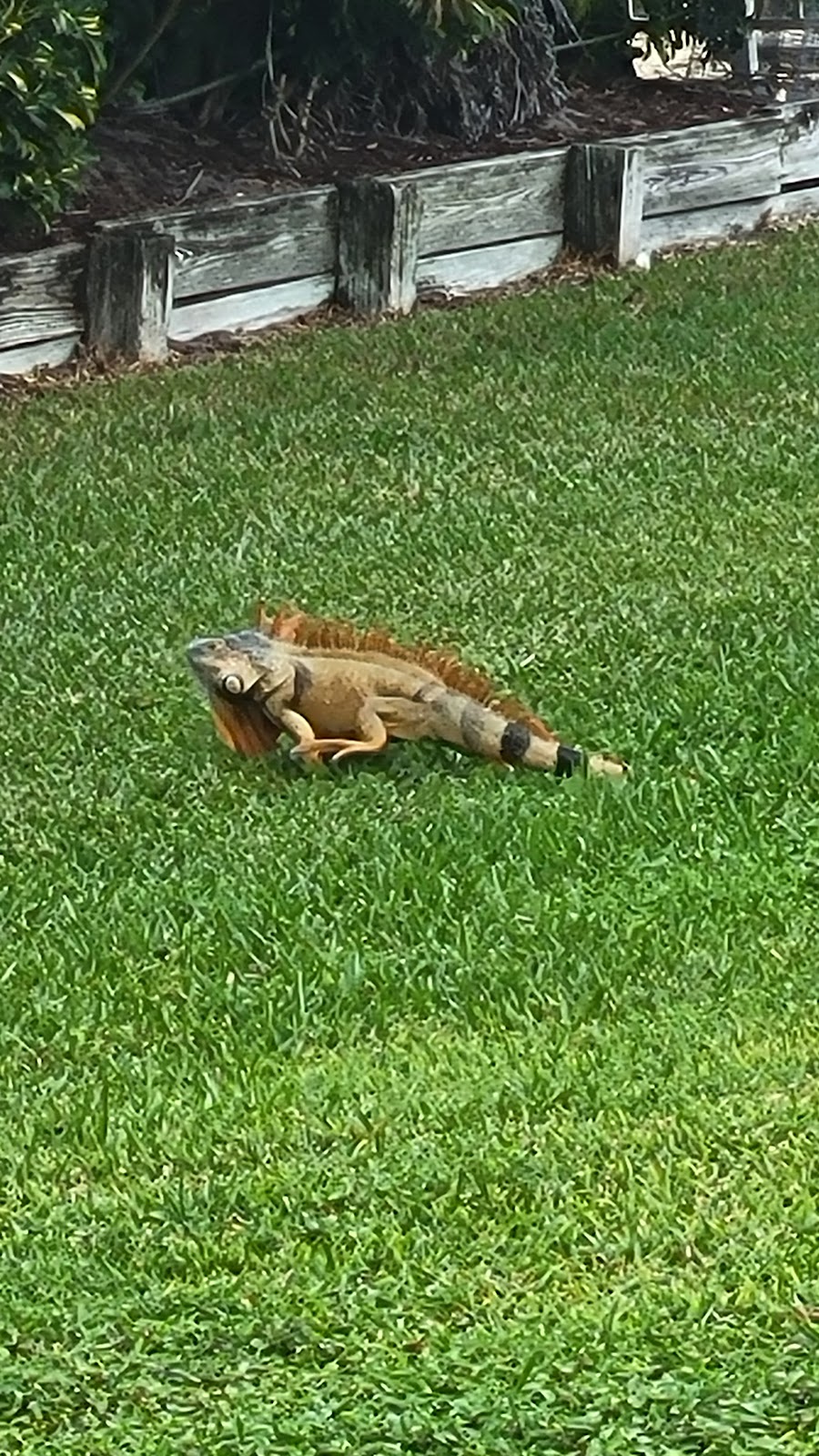 Boca Raton Golf & Racquet Club - Photo 3