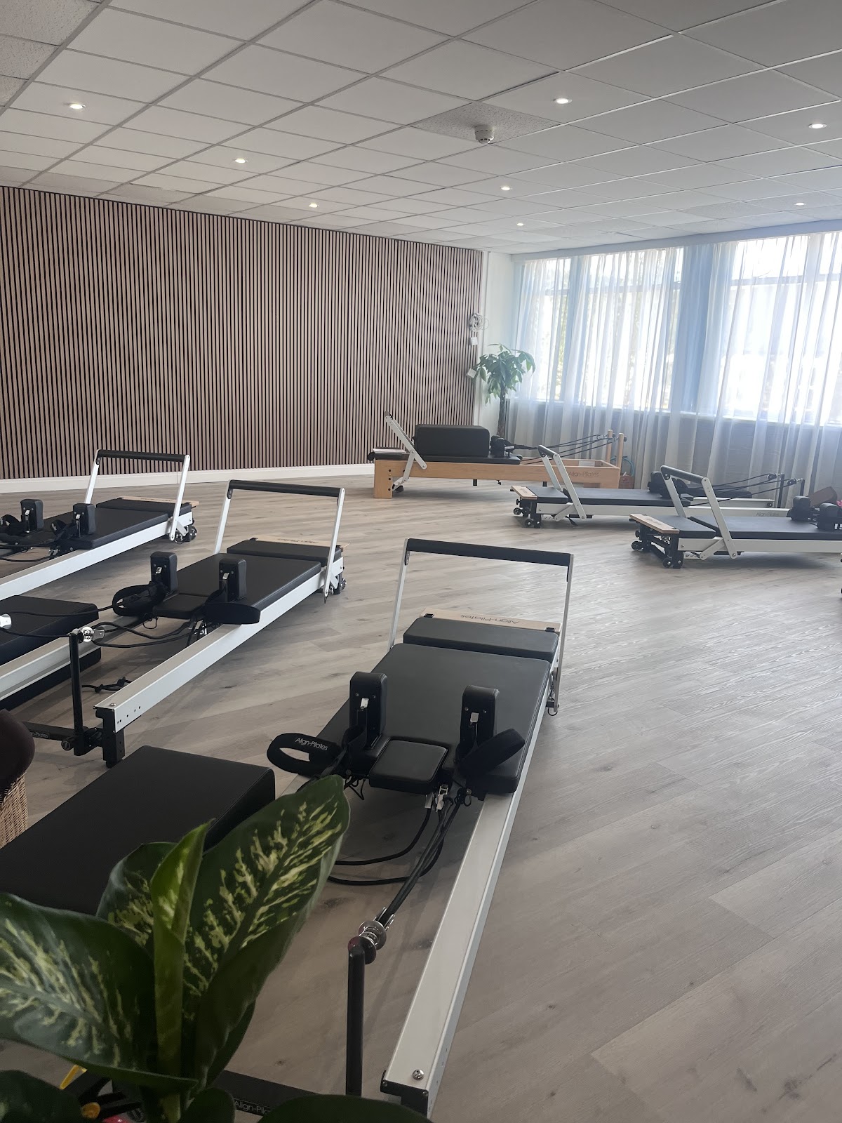 BOD Studios, Reformer Pilates and Physiotherapy, Cardiff - Photo 3