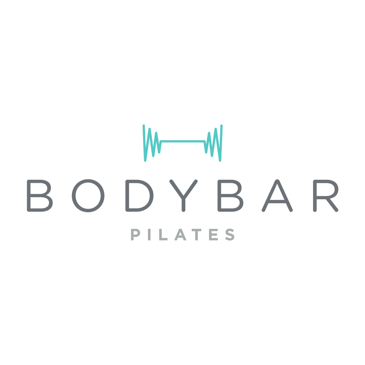 BODYBAR Pilates - Chandler - Photo 3