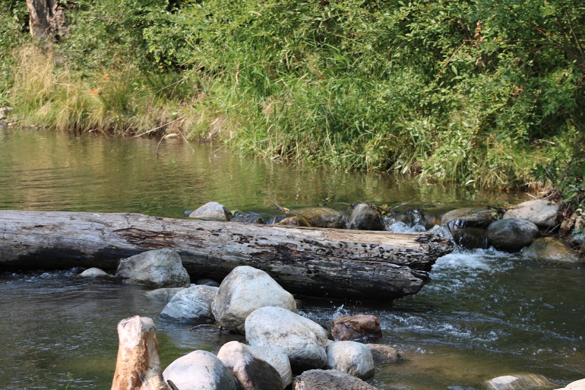 Bogert Park | City of Bozeman - Photo 3