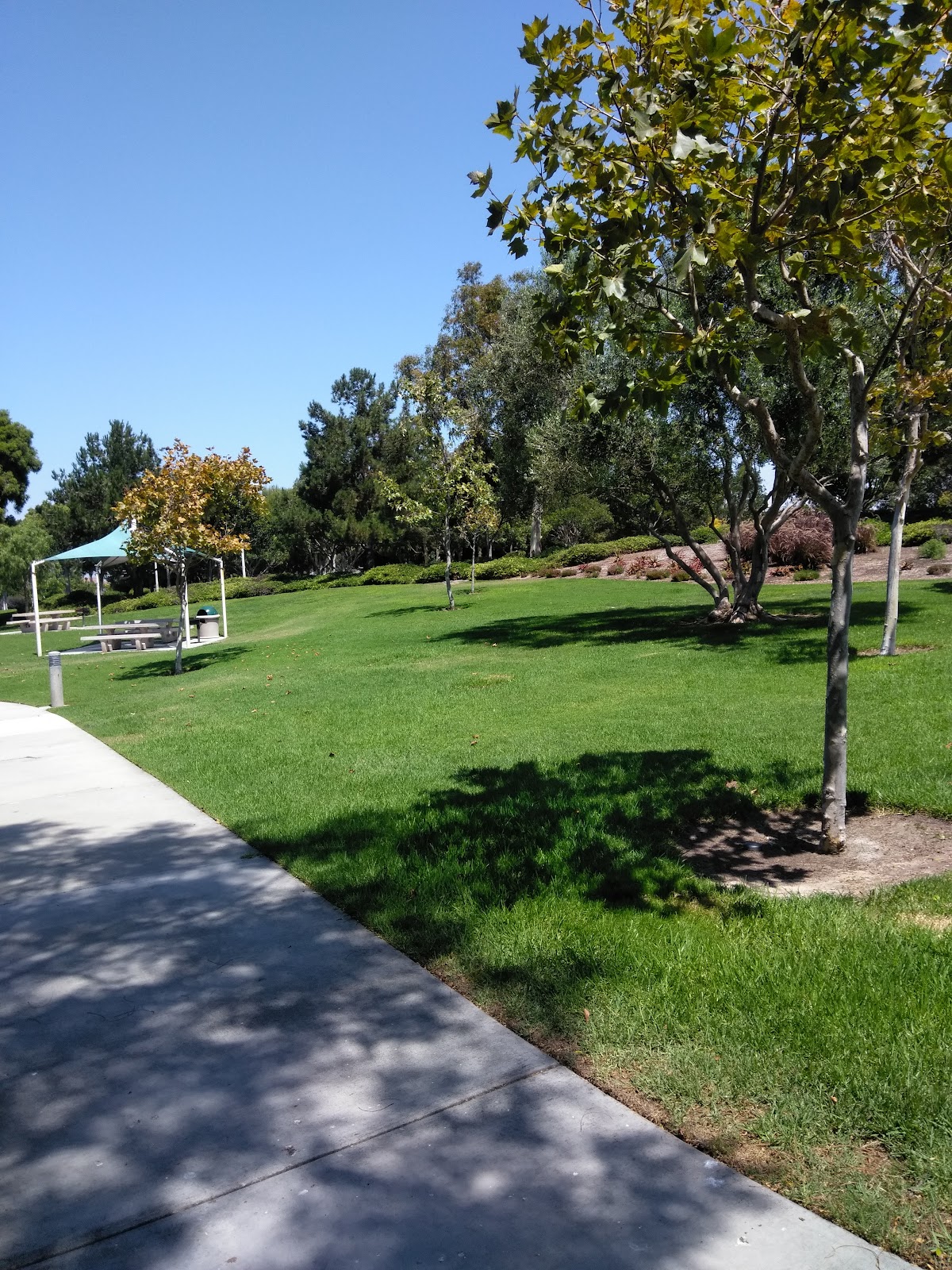 Bonita Canyon Sports Park East - Photo 1