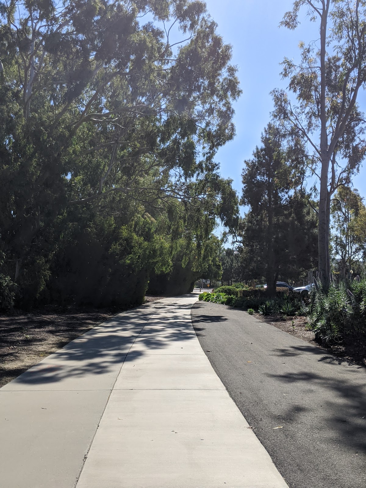 Bonita Canyon Sports Park - Photo 3