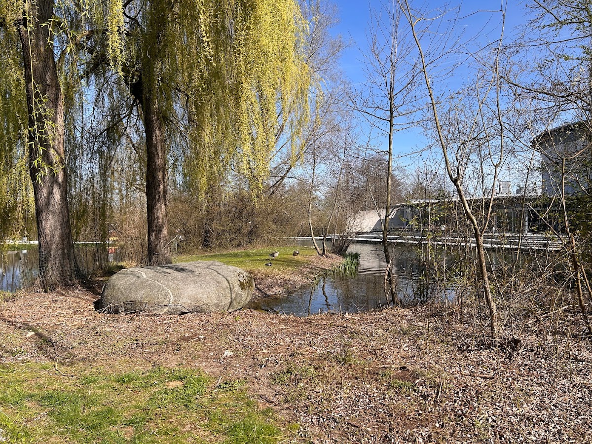 Boulder Block - Photo 2
