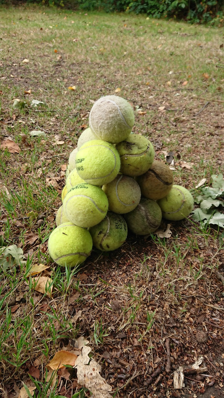 Bracknell Lawn Tennis Club - Photo 3