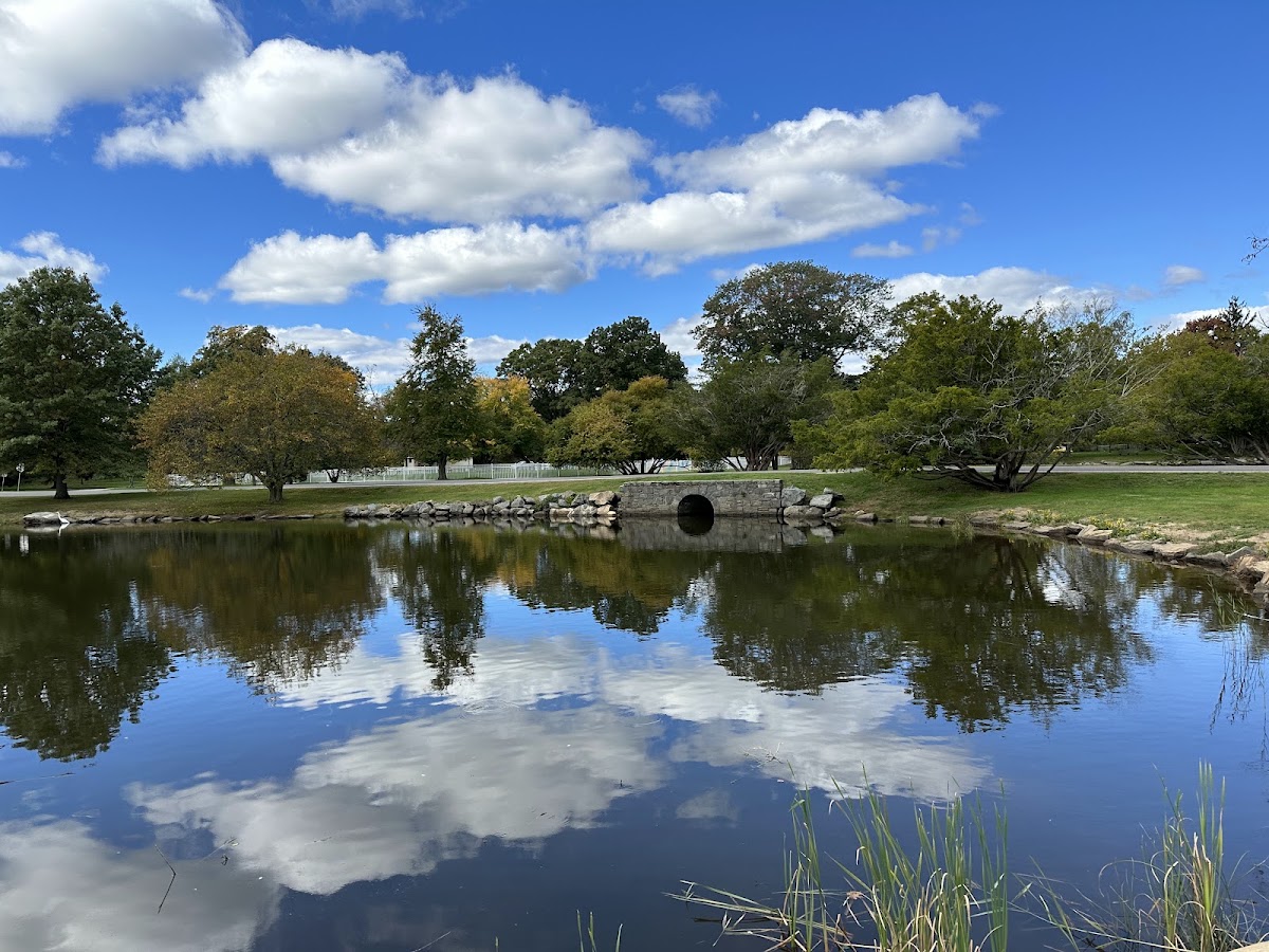Bruce Park - Photo 1
