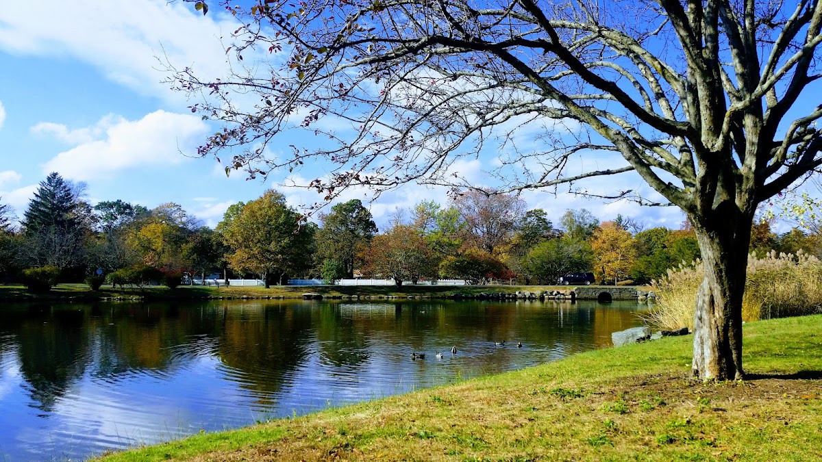 Bruce Park - Photo 3