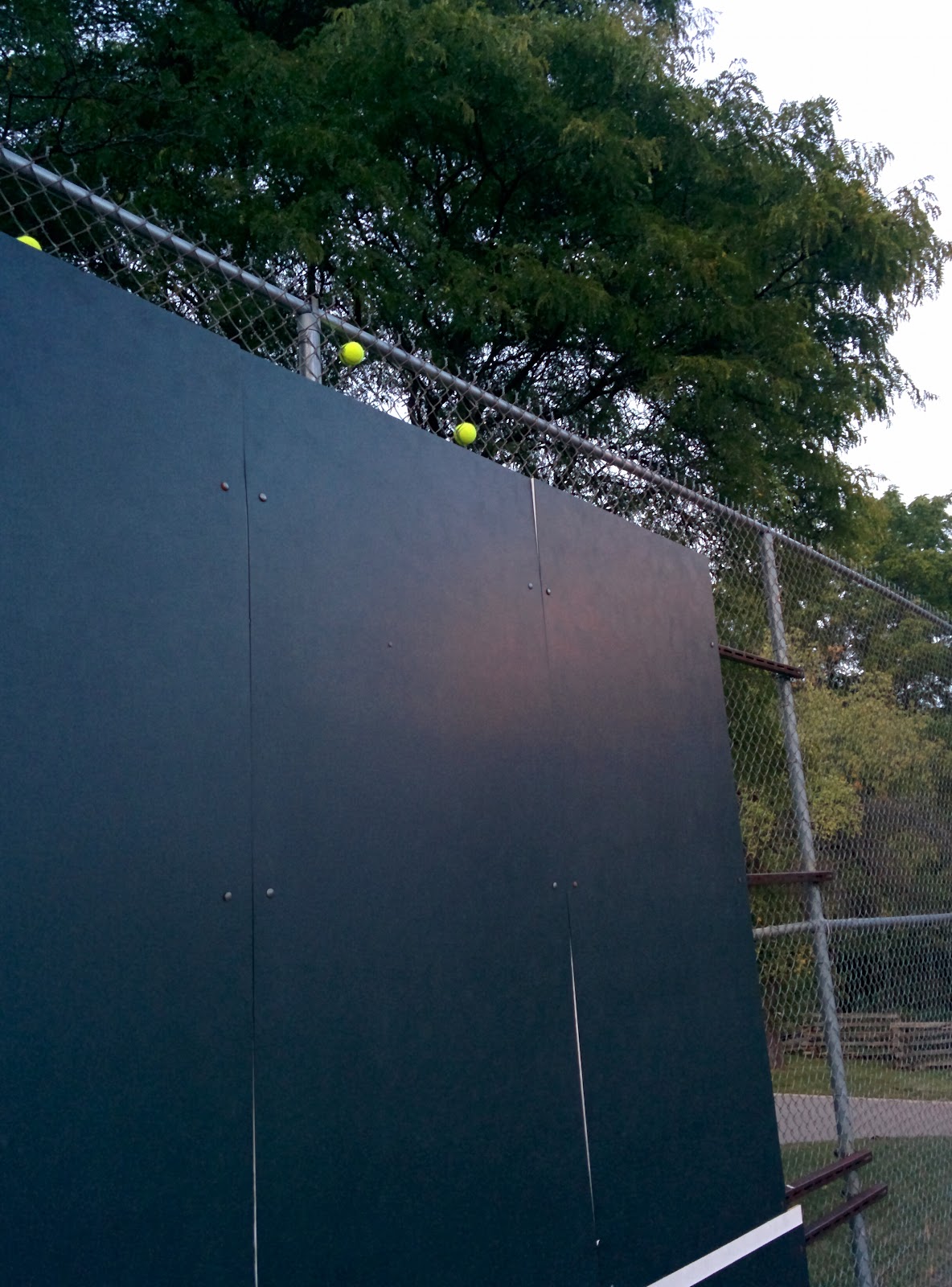 Buhr Park Tennis Court - Photo 1