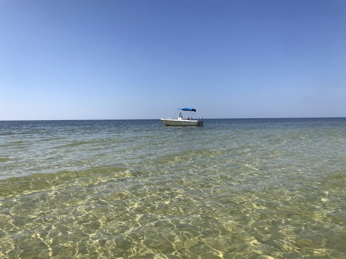 Caloosa River Boat Rental - Photo 2