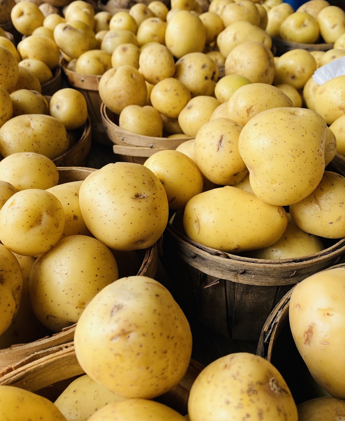 Campos Farmers Market - Photo 2