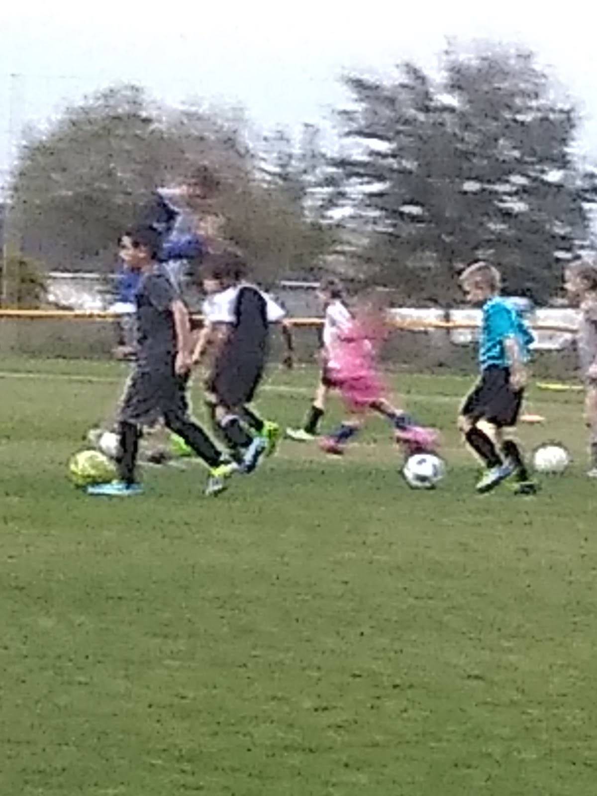 Cape Coral Soccer Association - Photo 3