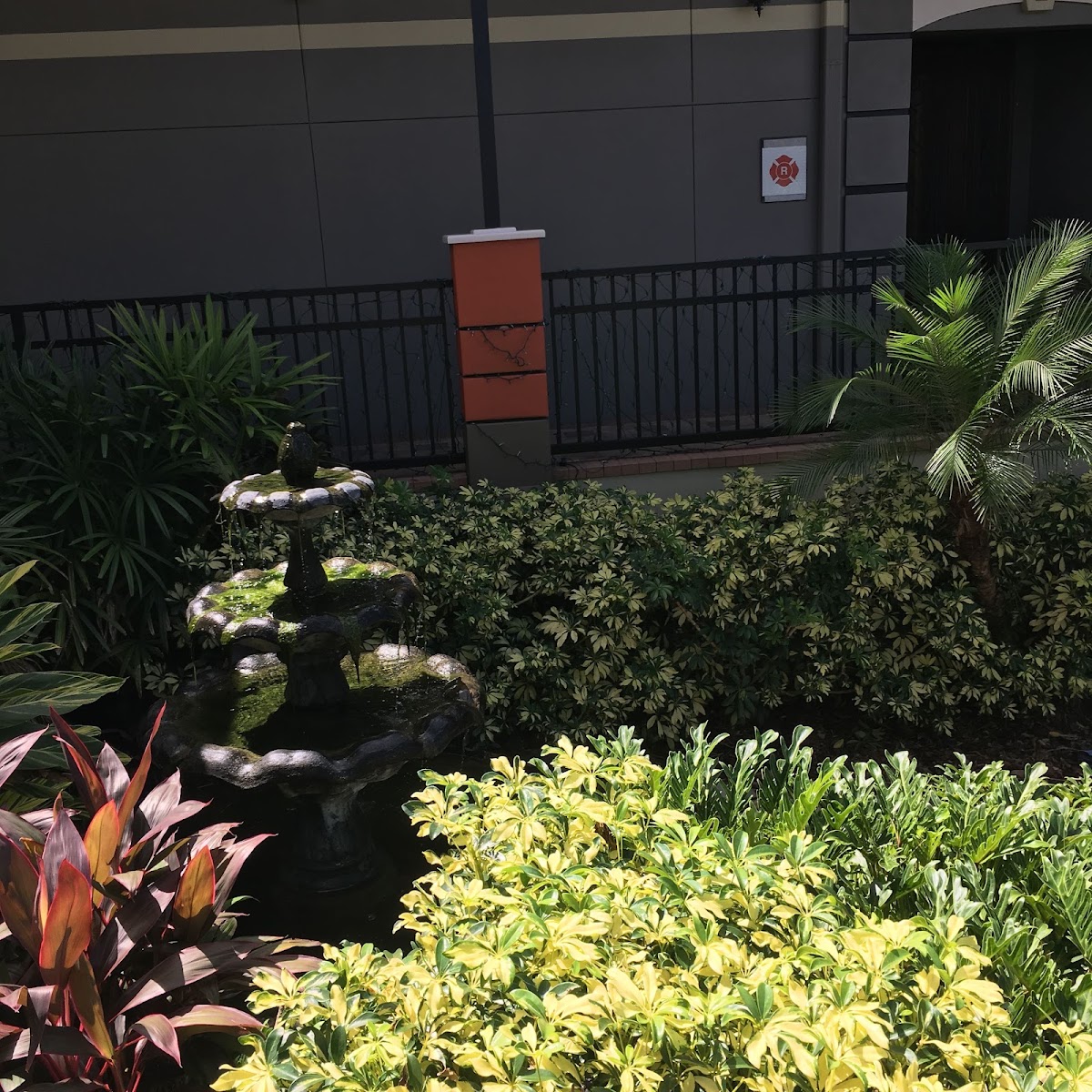 Carrollwood Country Club Tennis & Aquatics Center - Photo 3