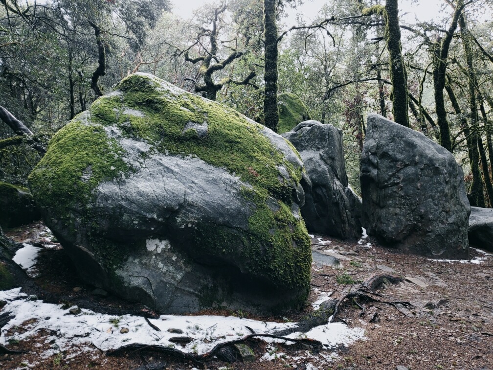 Castle Rock Climbing School - Photo 2