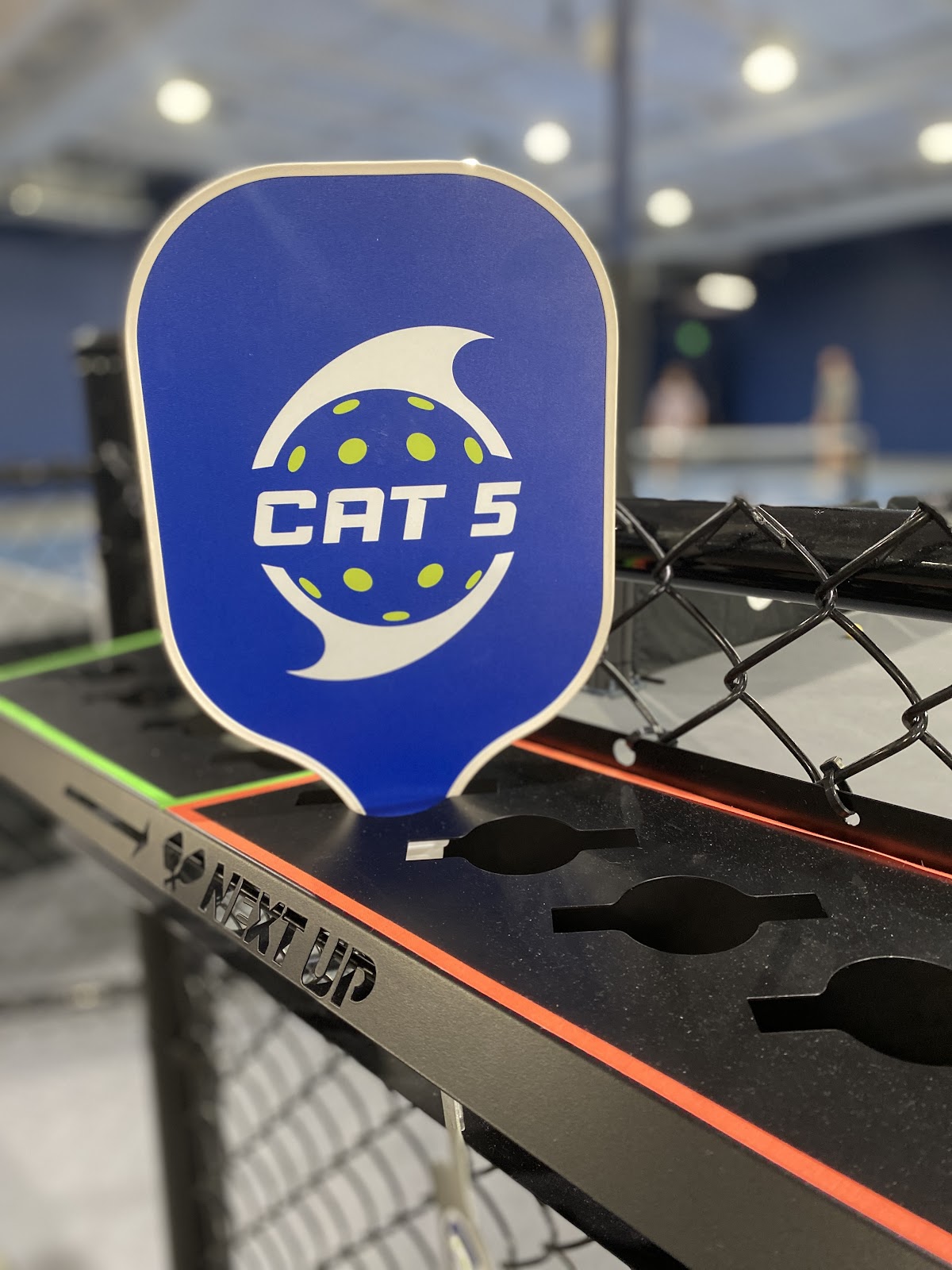 Category 5 Pickleball - Photo 3