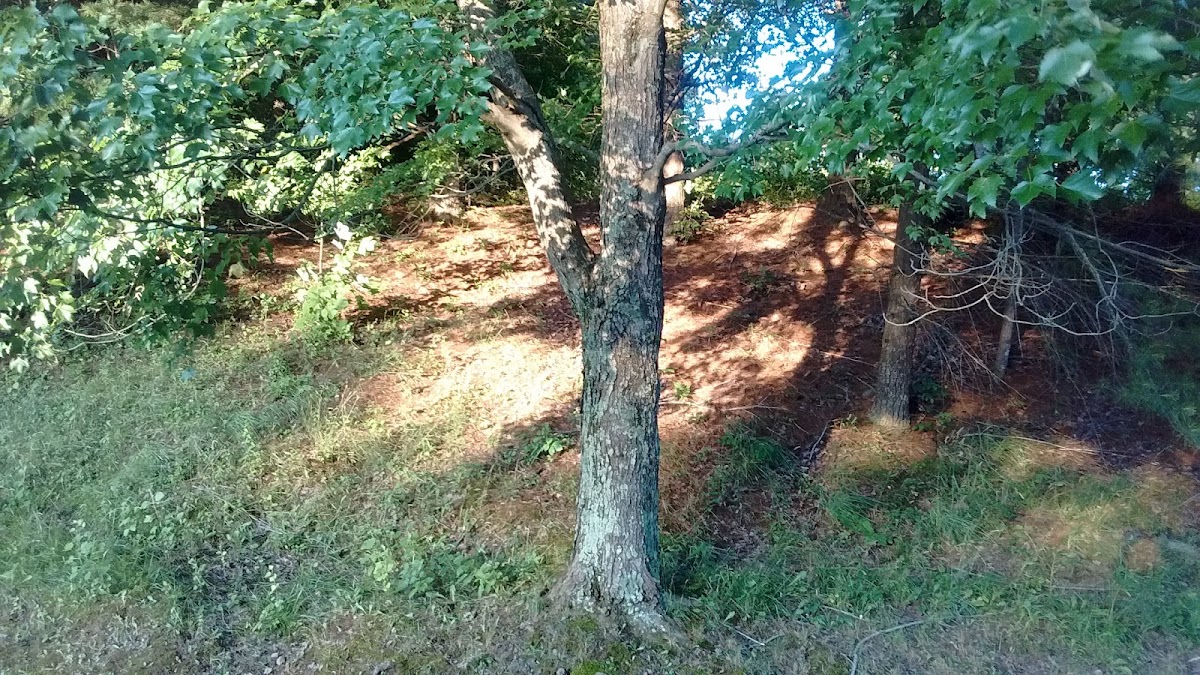 Cato Park - Photo 3