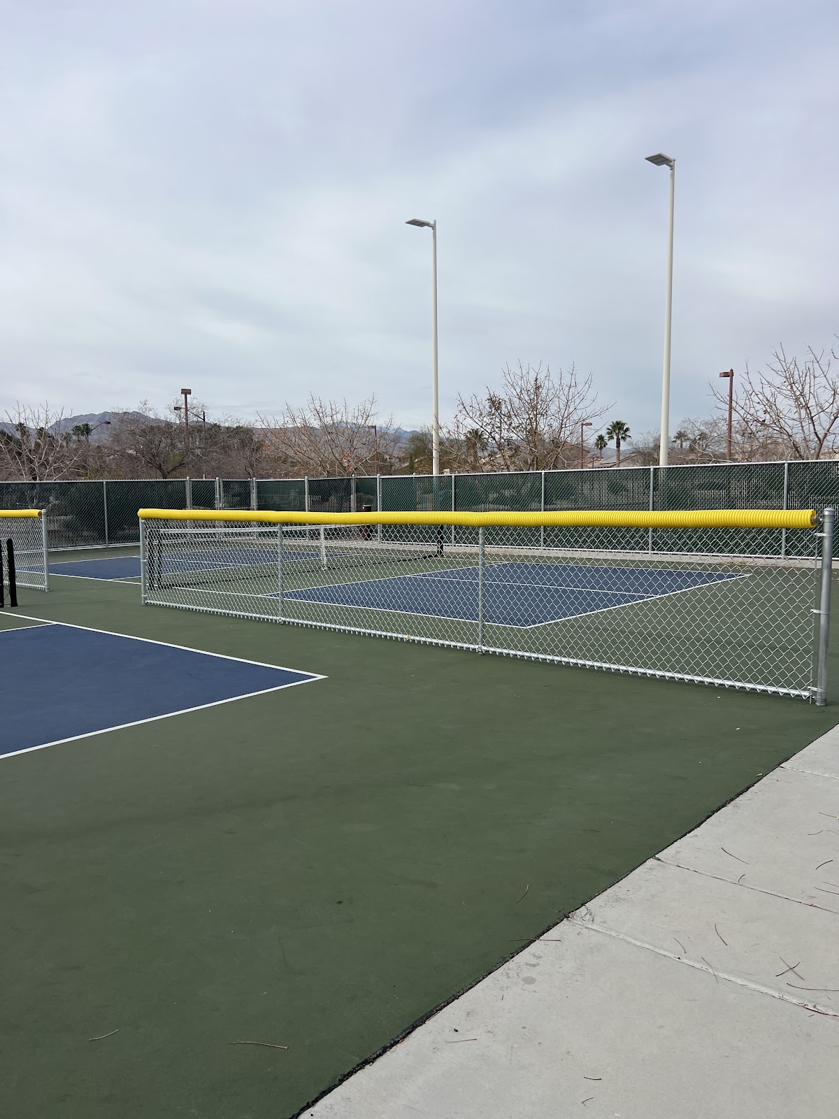 Centennial Hills Pickleball Courts - Photo 1
