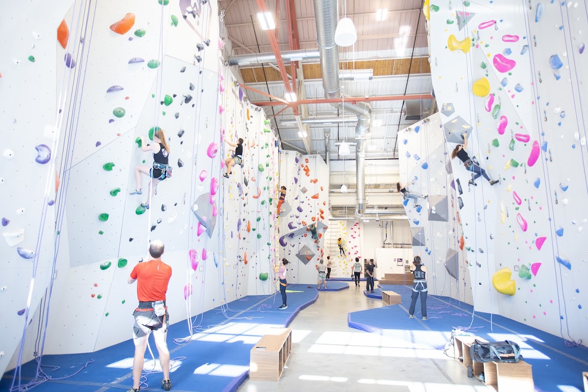 Central Rock Gym - Arsenal Yards - Photo 2