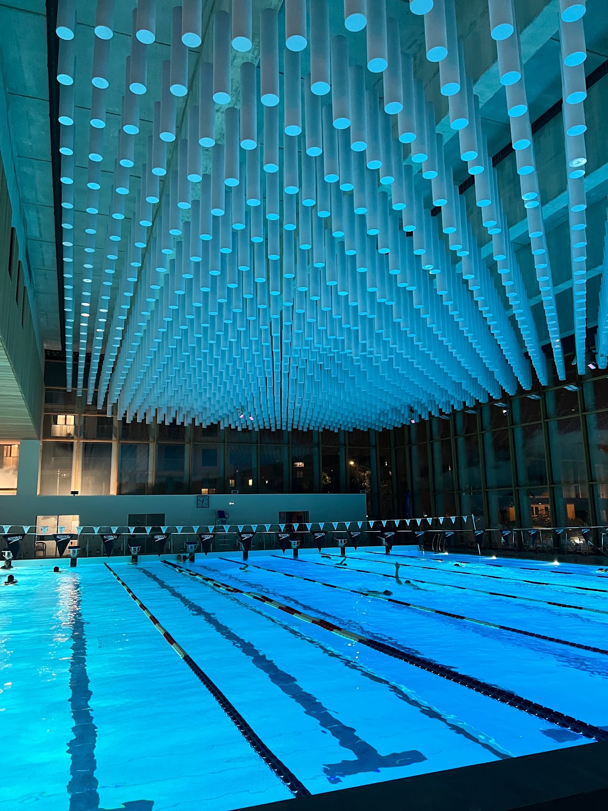 Centre Aquatique Arsenal - Photo 1