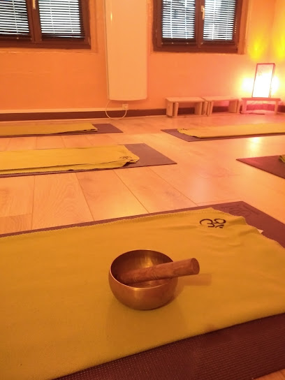 CENTRE DE COACHING ET YOGA LYON 6 VILLEURBANNE - Photo principale