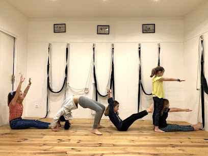 Centre de Yoga Iyengar de Bordeaux Chartons CYIB - Photo principale