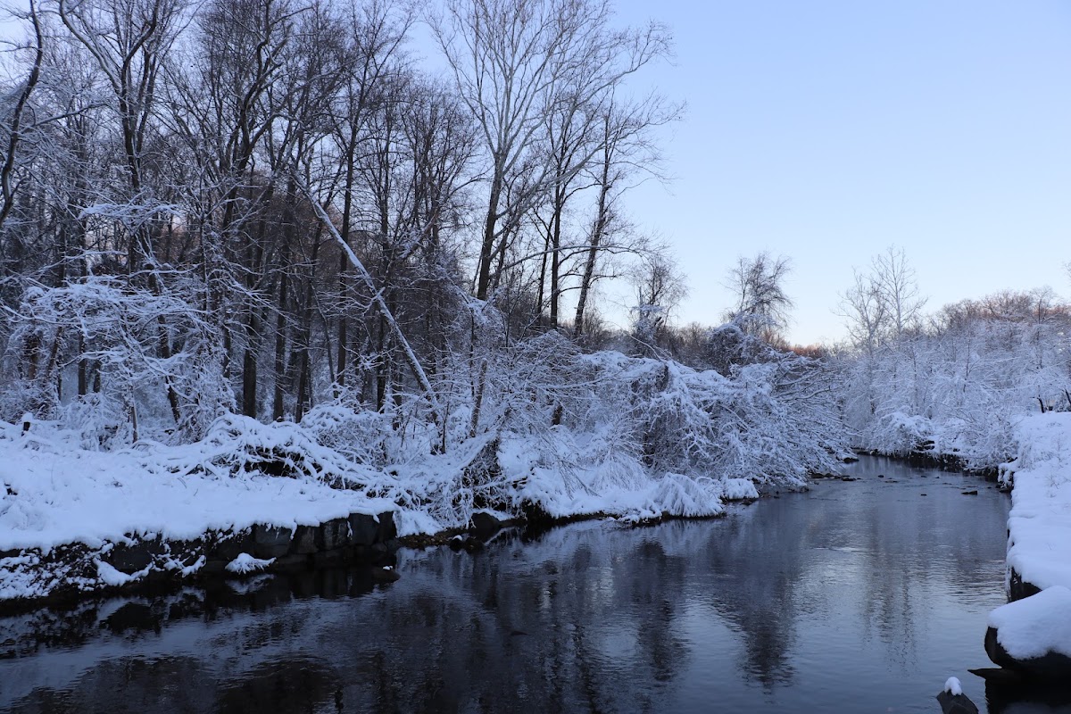 Chambliss Park - Photo 2