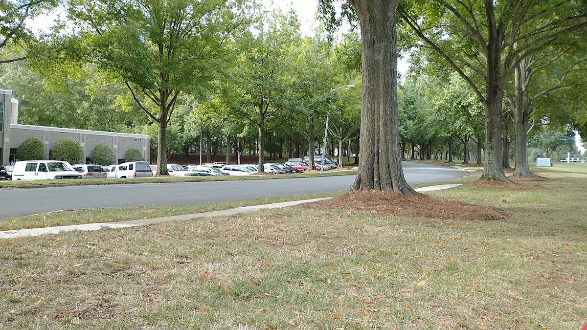 Charlotte Eagles Soccer Club - Photo 3