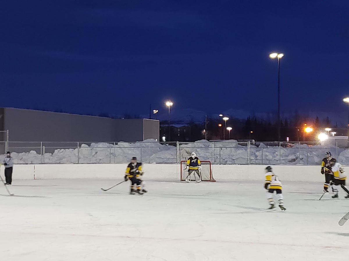Chester Creek Sports Complex - Photo 3