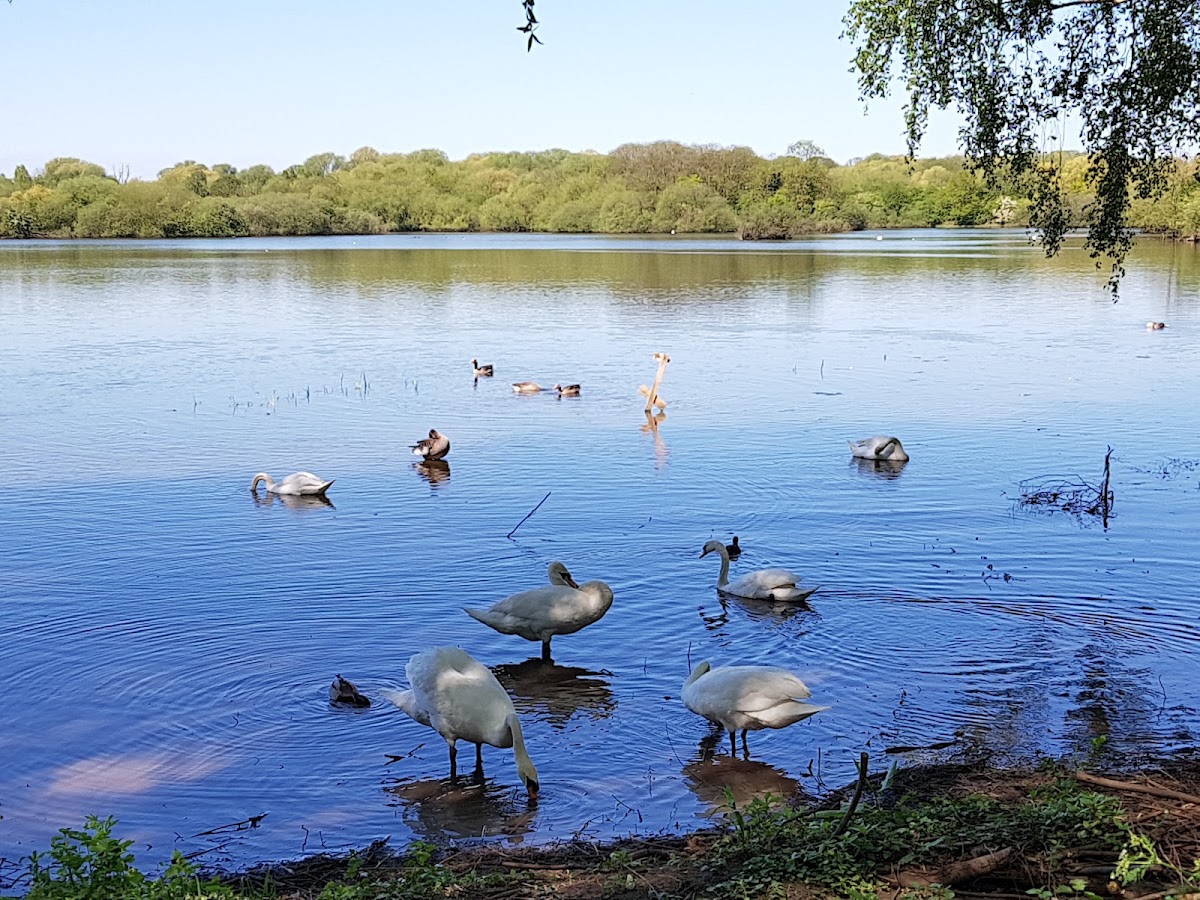 Chilwell Olympia - Photo 3