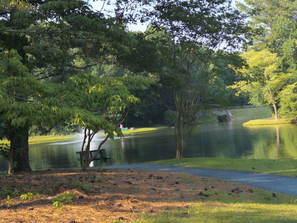 Chimney Springs Tennis Courts - Photo 1
