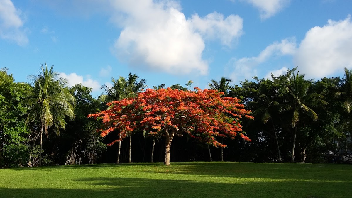 City of Miami Parks & Recreation Department - Photo 2