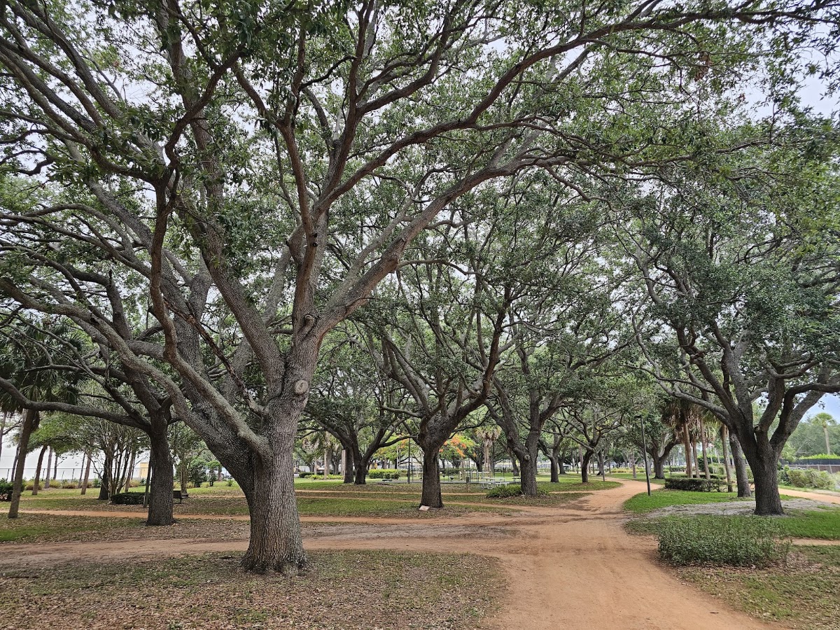 City of Palm Beach Gardens Recreation - Photo 2