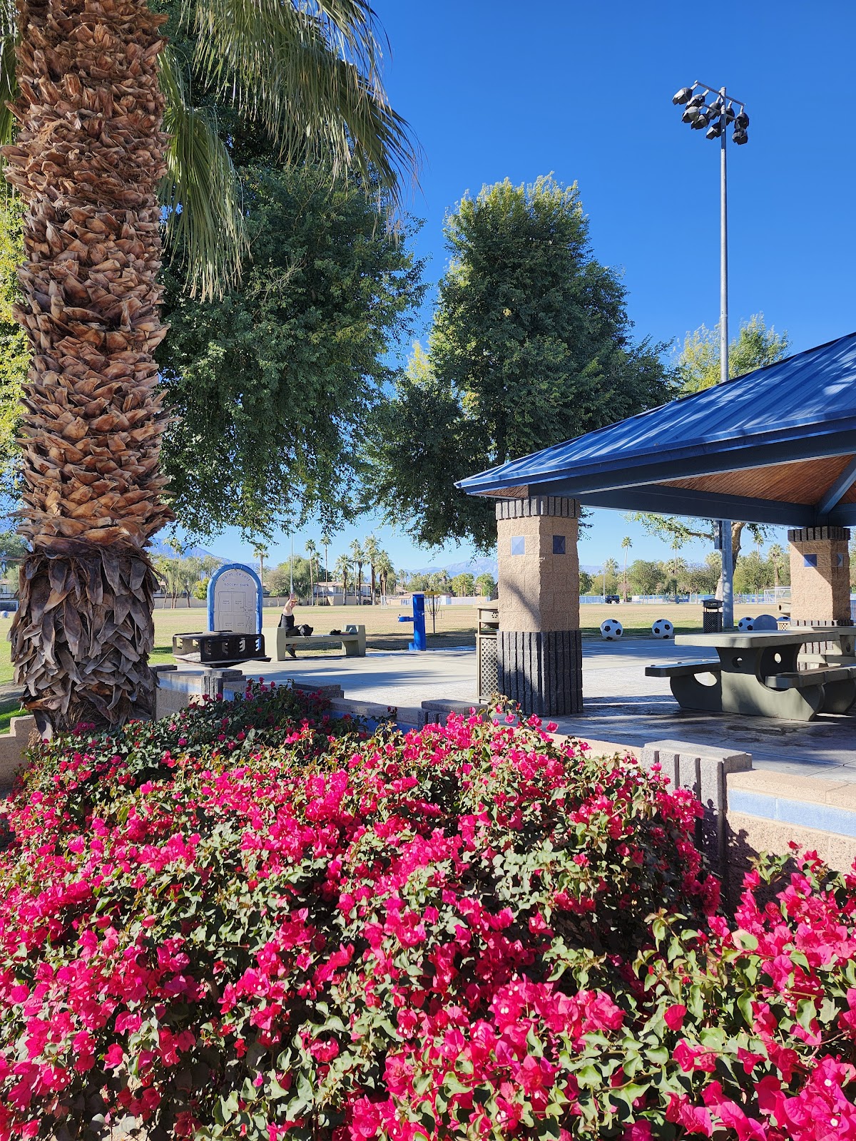 City of Palm Desert Hovley Soccer Park - Photo 3
