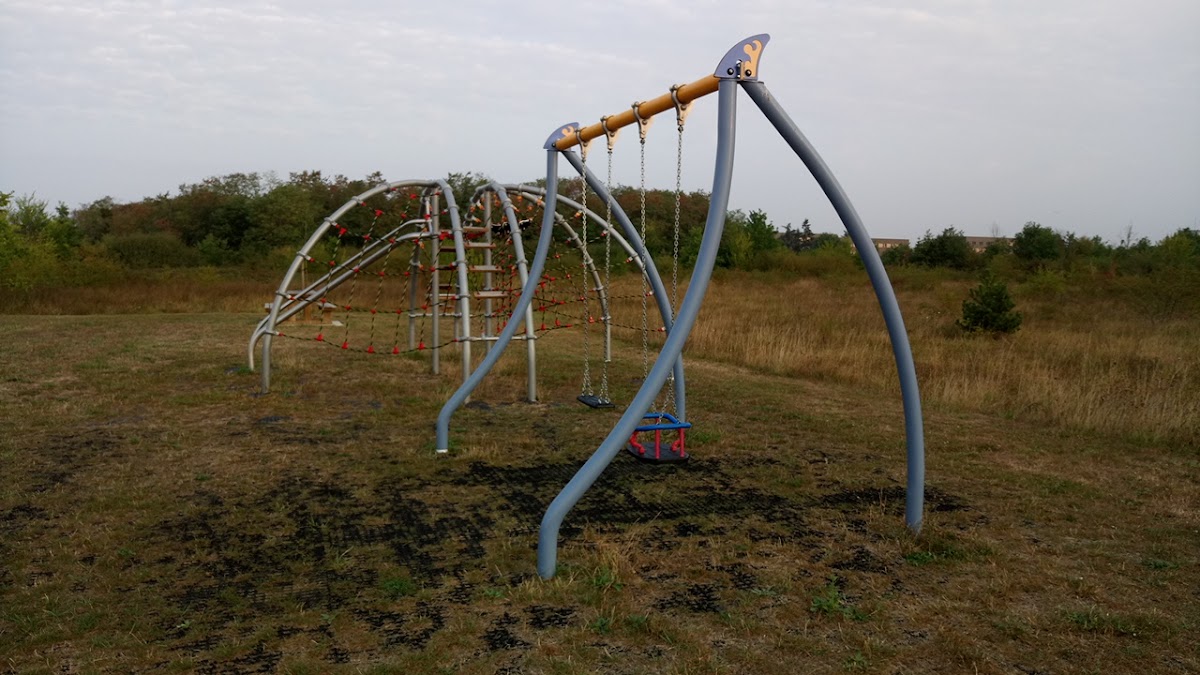 City park du Pâtis - Photo 2