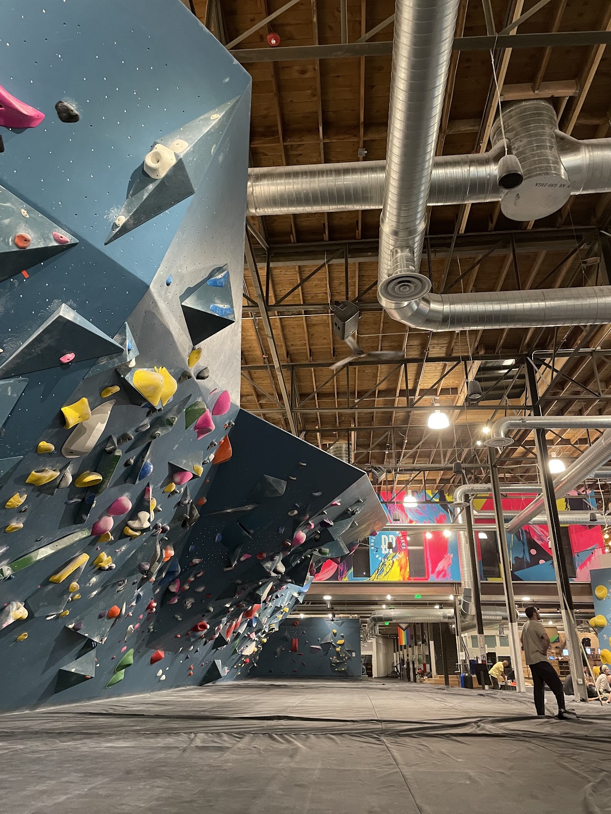 Climbing wall panels - Photo 2