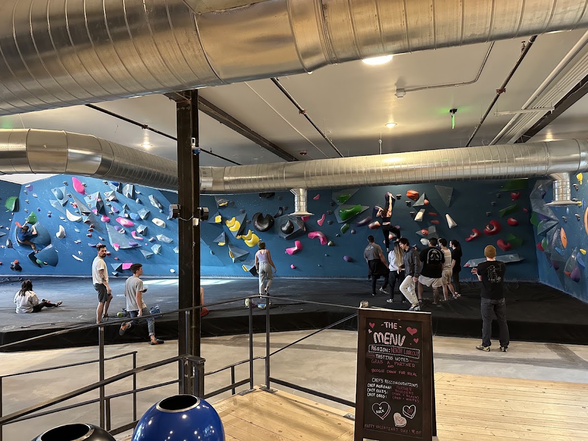 Climbing wall panels - Photo 3