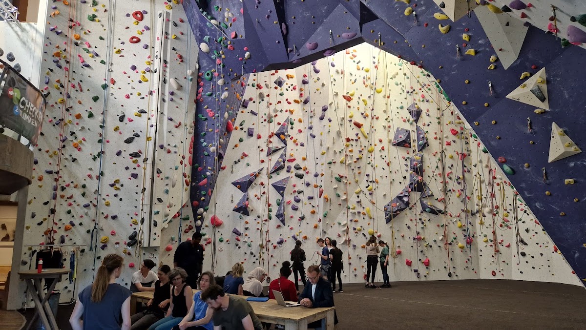 climbing wall Utrecht - Photo 2
