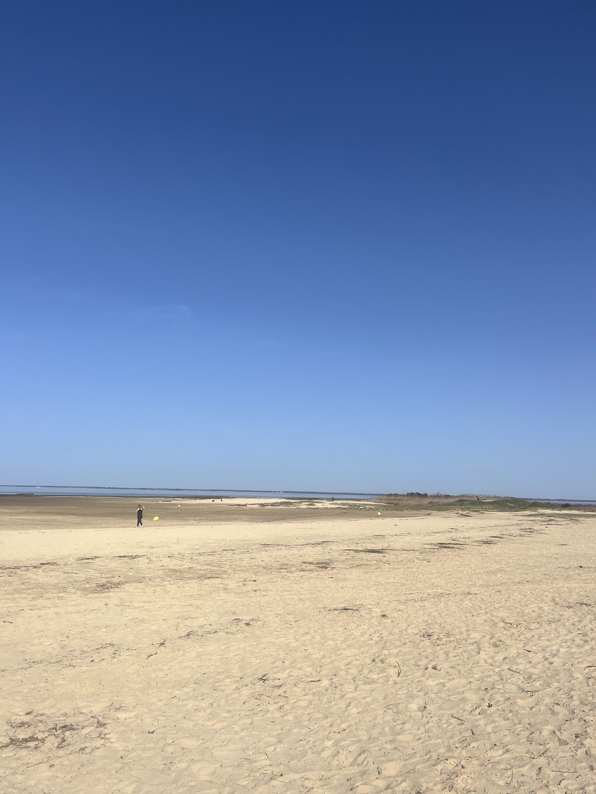 Club de plage Mickey l'Hippocampe - Arcachon/Arbousiers/Moulleau - Photo 1