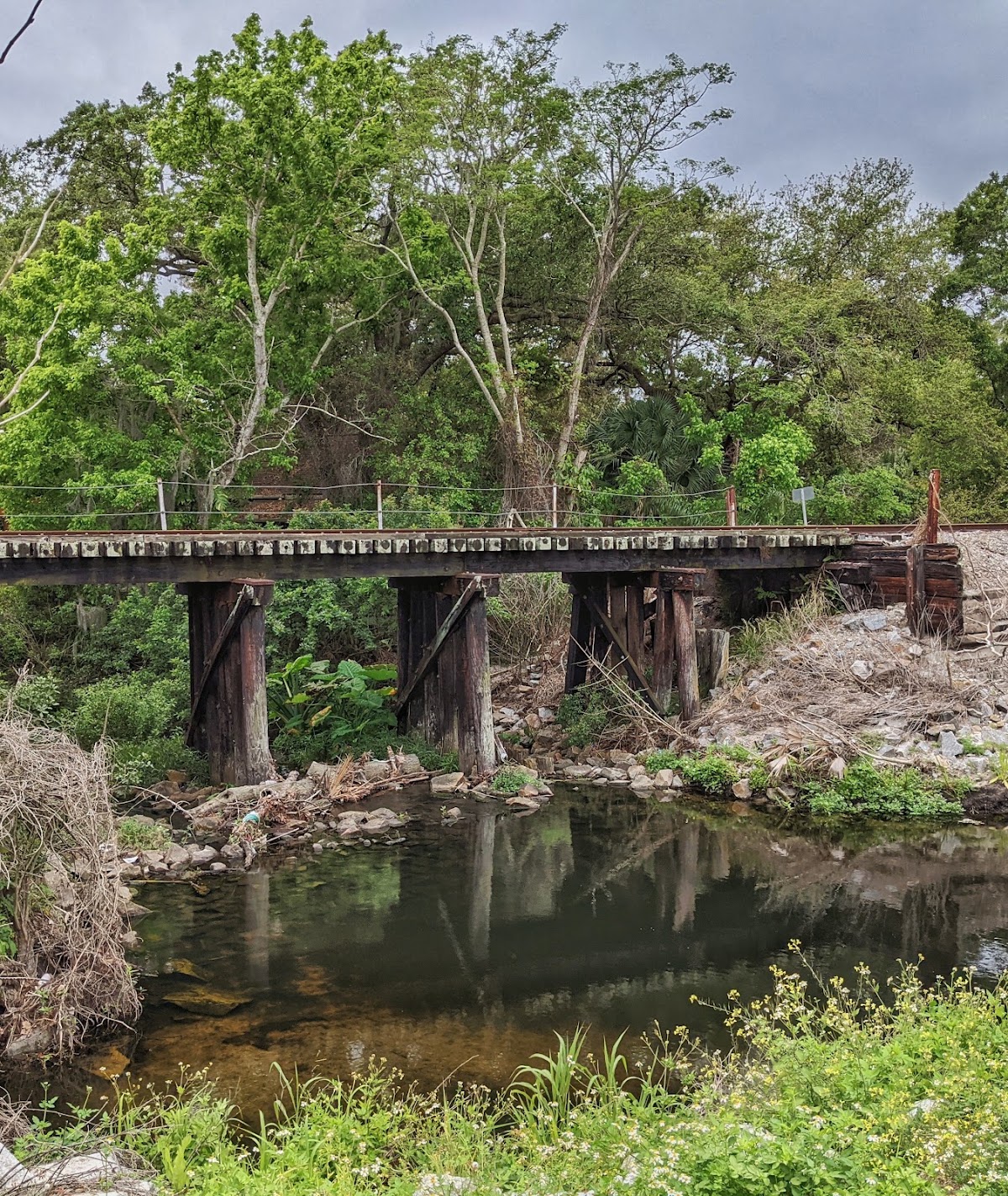 Coachman Ridge Park - Photo 3