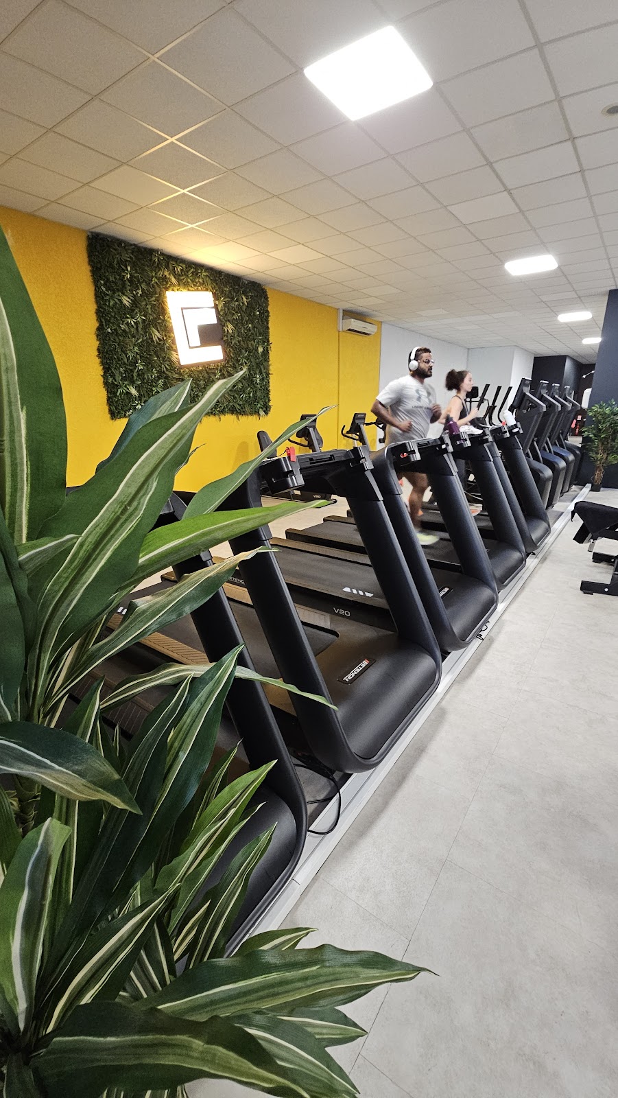 Cocktail Fitness - Salle de sport Montauban