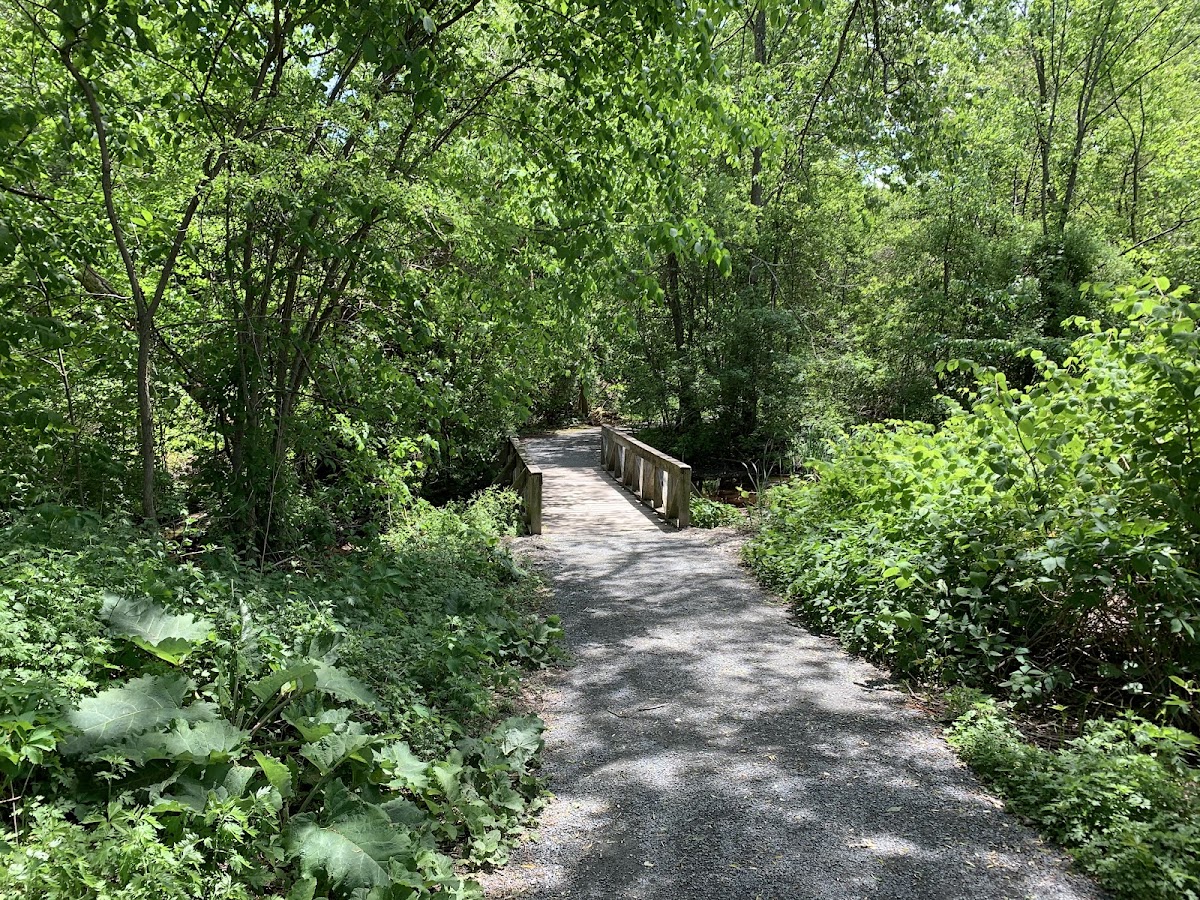 Cold Spring Park - Photo 1