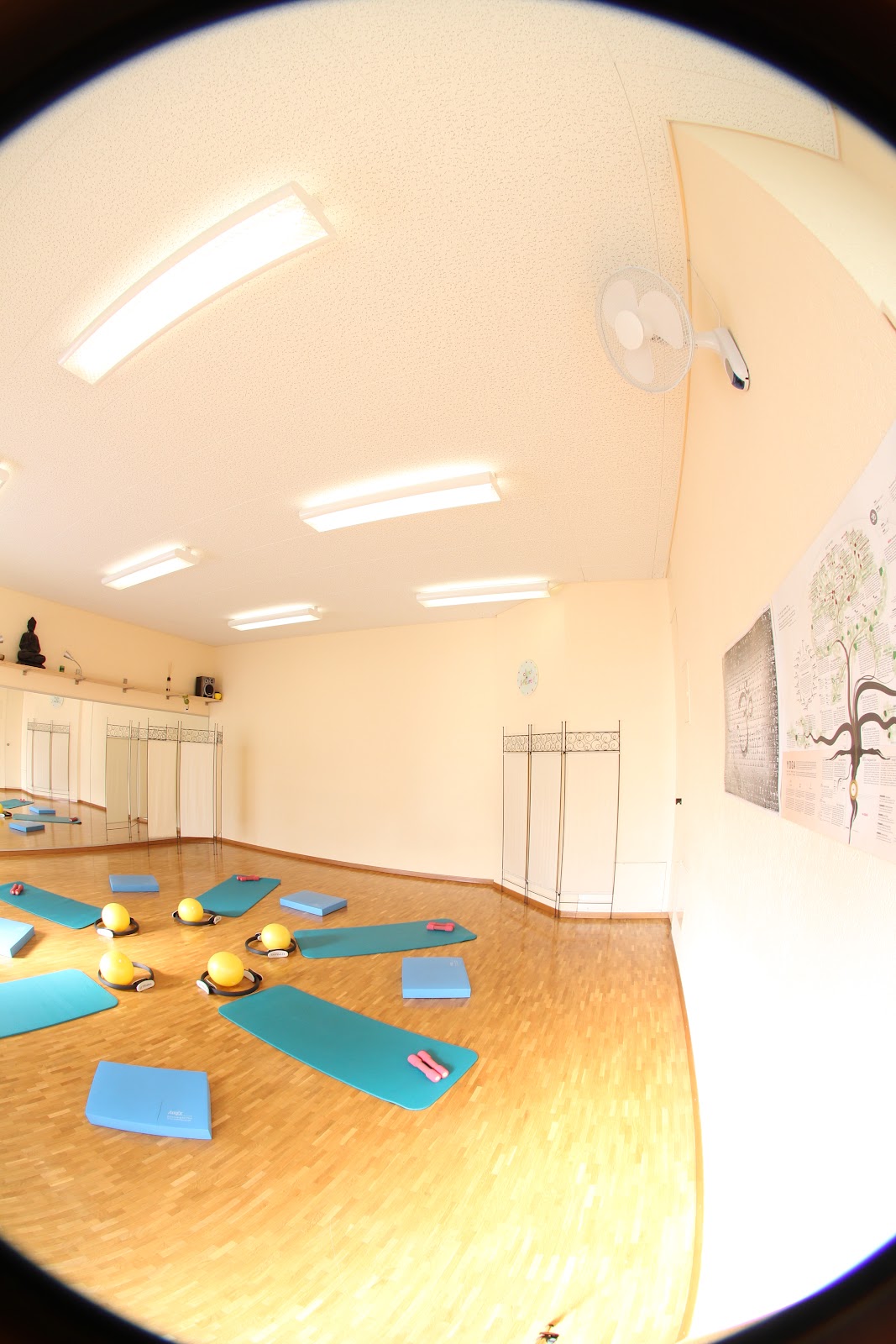 COLIFE - Photo 2