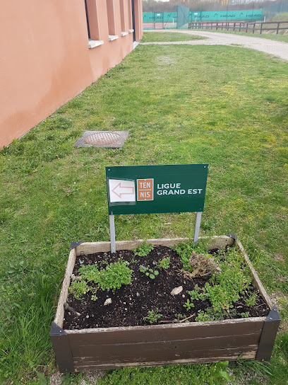 Comité de la Marne de Tennis - Photo principale