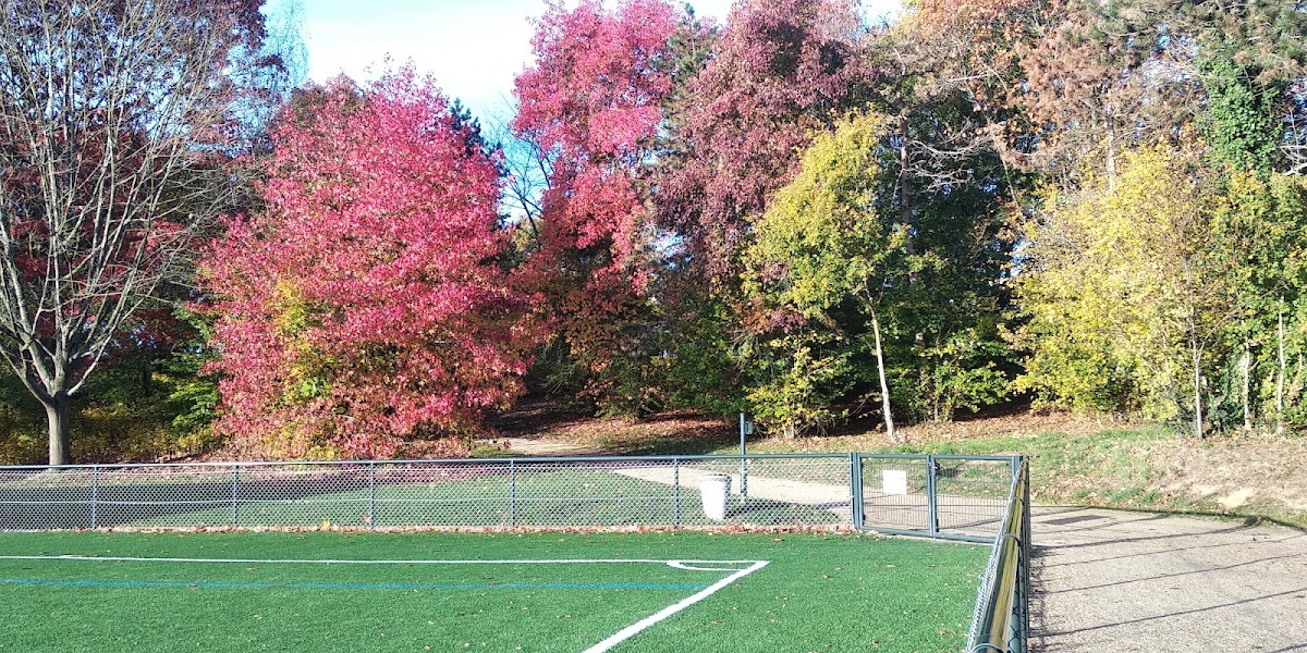Complexe sportif Paul-Lafargue - Photo 3
