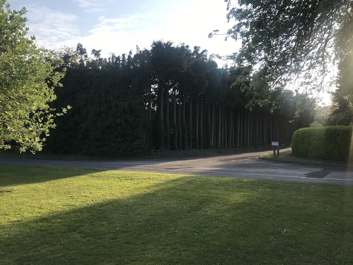 Compton & Shawford Lawn Tennis Club - Photo 3