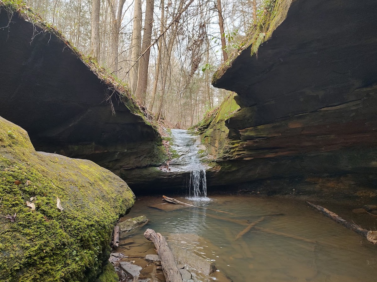 Coonskin Park - Photo 3