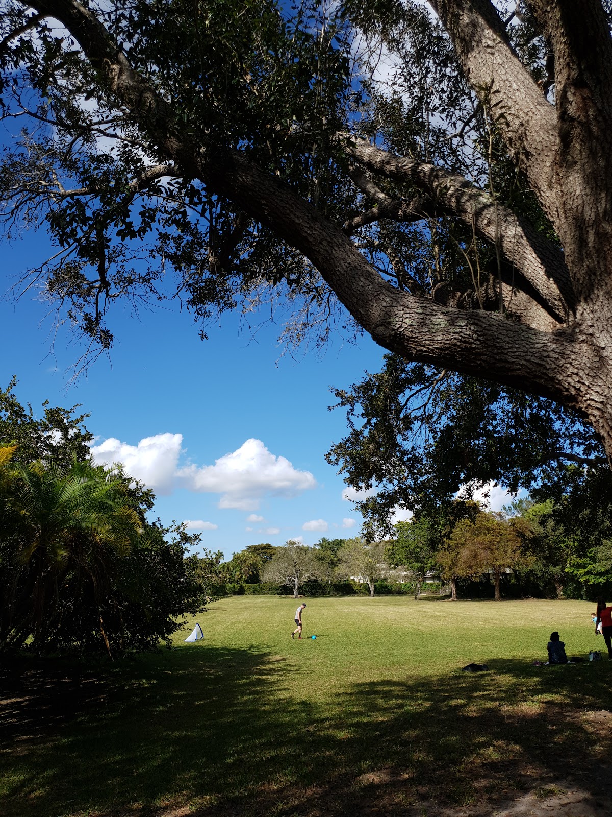 Coral Pine Park - Photo 3