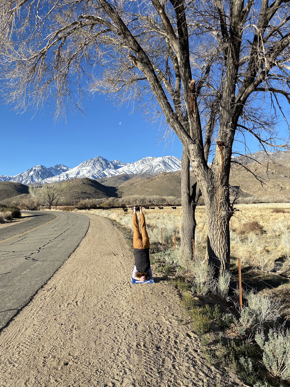 core movement pilates and yoga studio. Online training available. Bend, Oregon - Photo 3