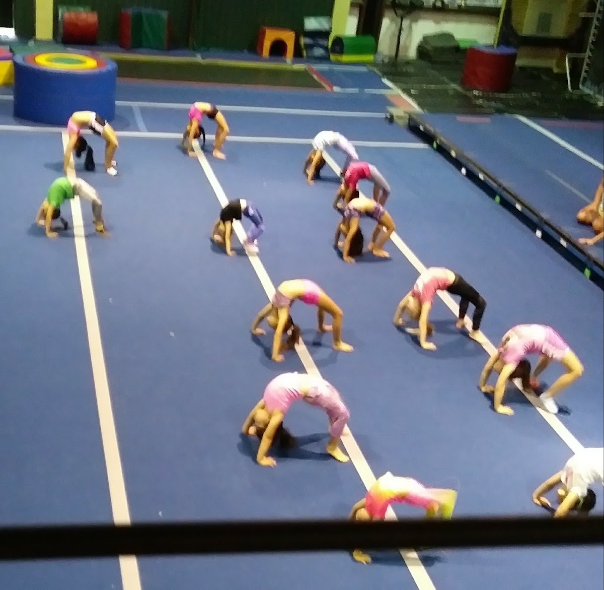 Corpus Christi Allstar Gym - Photo 1